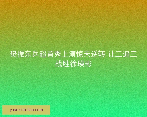 樊振东乒超首秀上演惊天逆转 让二追三战胜徐瑛彬